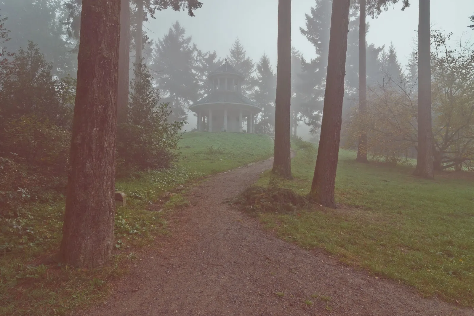 Бременская телевизионная башня на фоне Городского леса