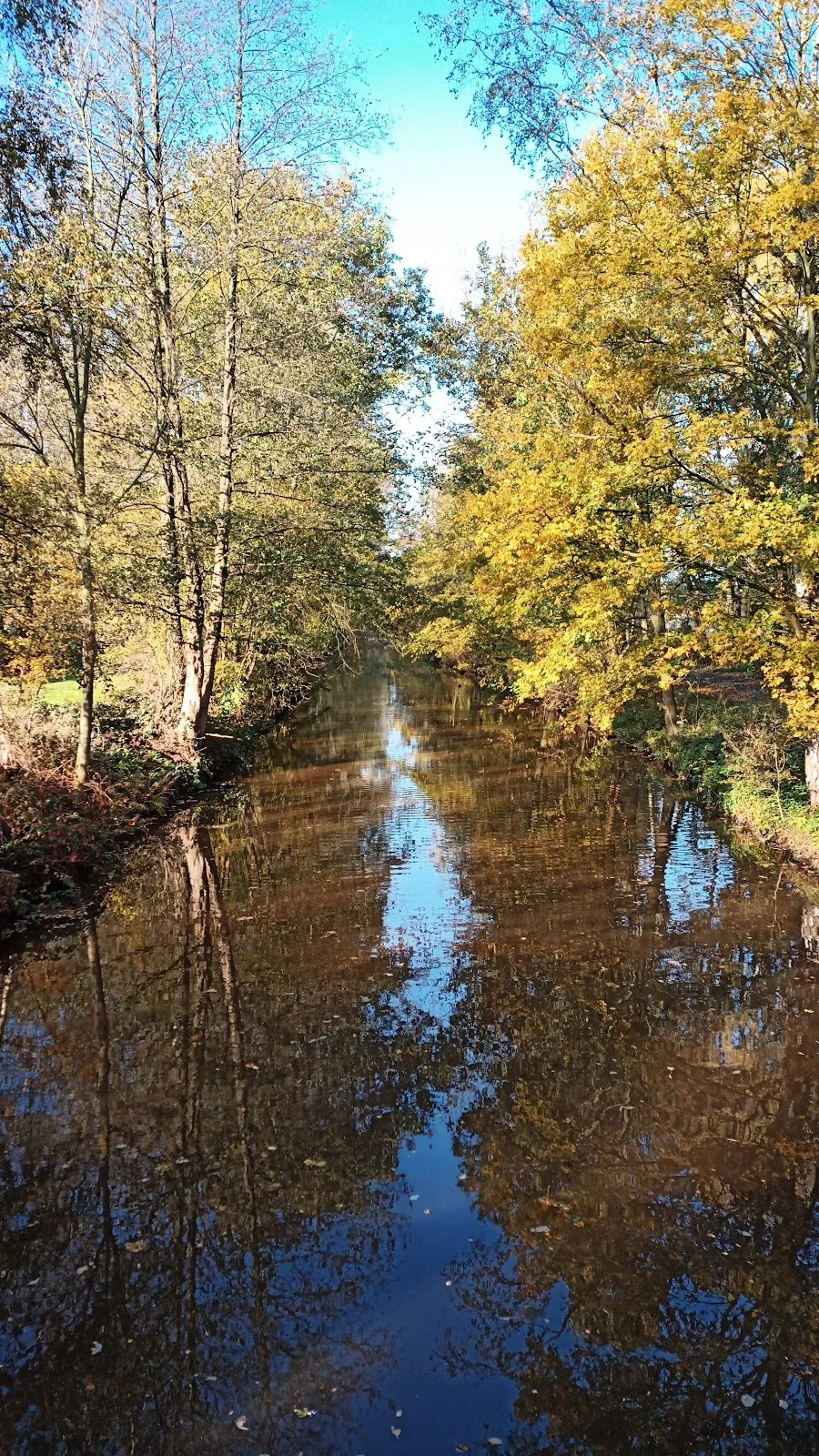 Бременская телевизионная башня на фоне Городского леса