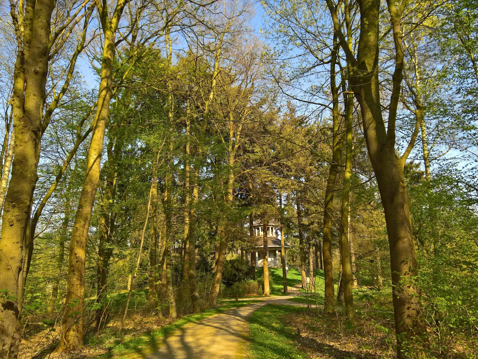 Бременская телевизионная башня на фоне Городского леса
