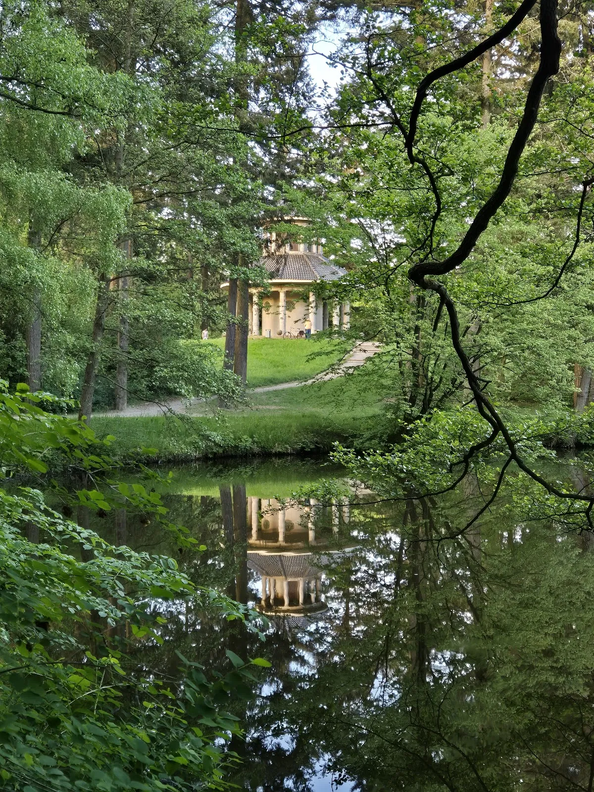 Бременская телевизионная башня на фоне Городского леса