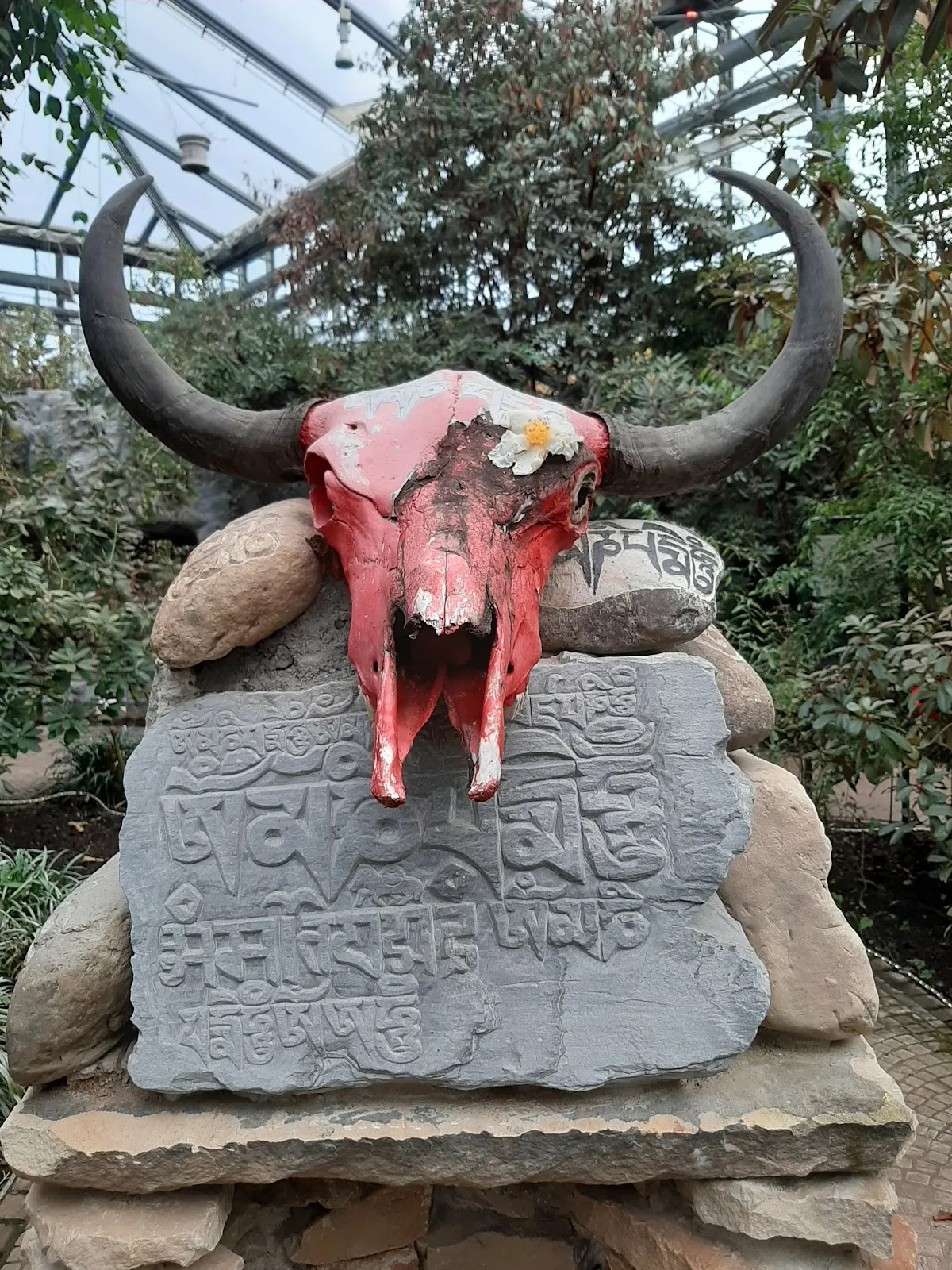 Цветущие кусты рододендронов в Бременском парке