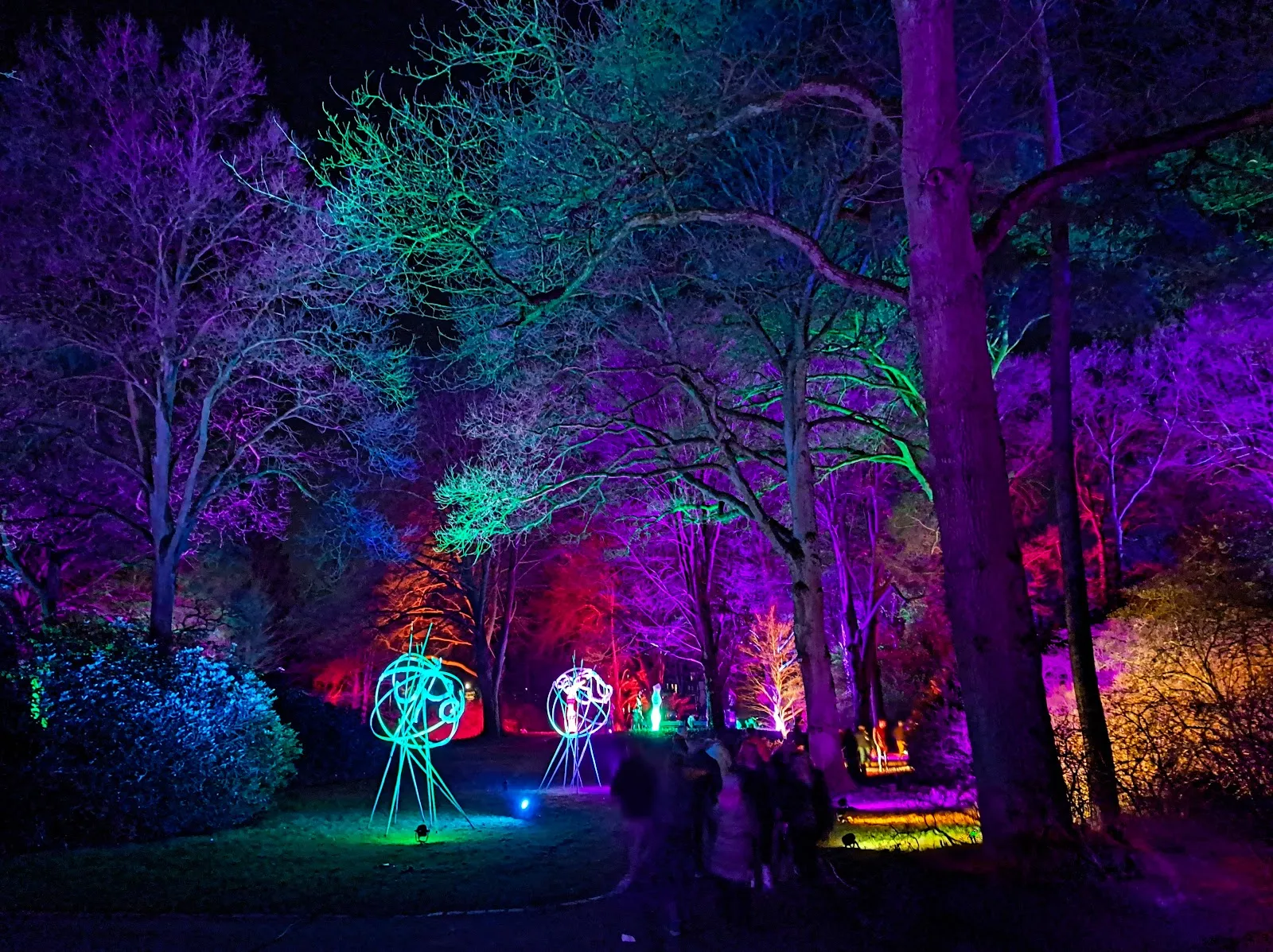 Цветущие кусты рододендронов в Бременском парке