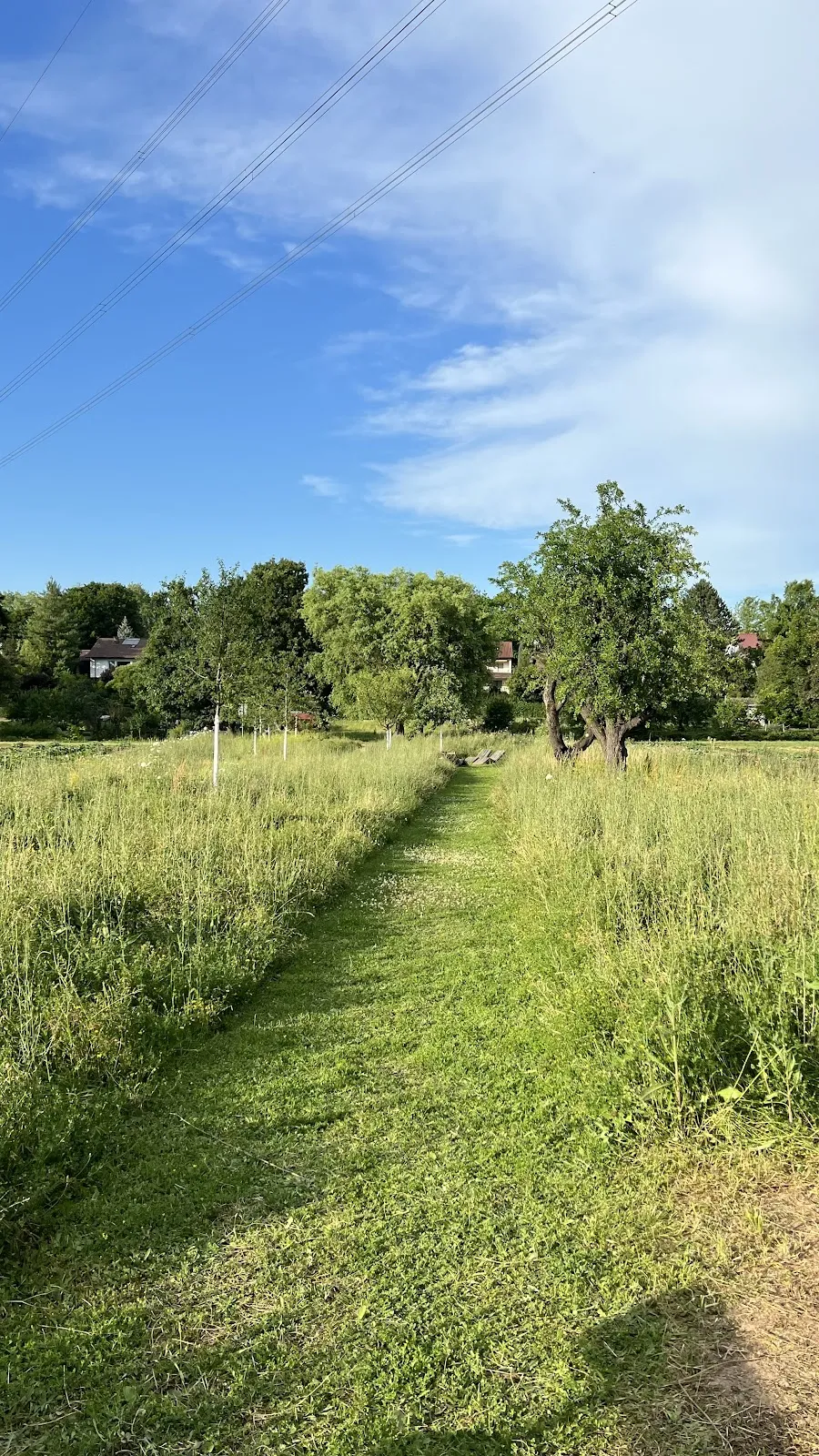 Бюргерпарк Грюне Митте Вайнштадт