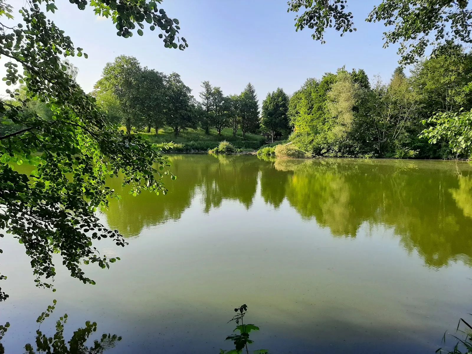 Бюргерзеен