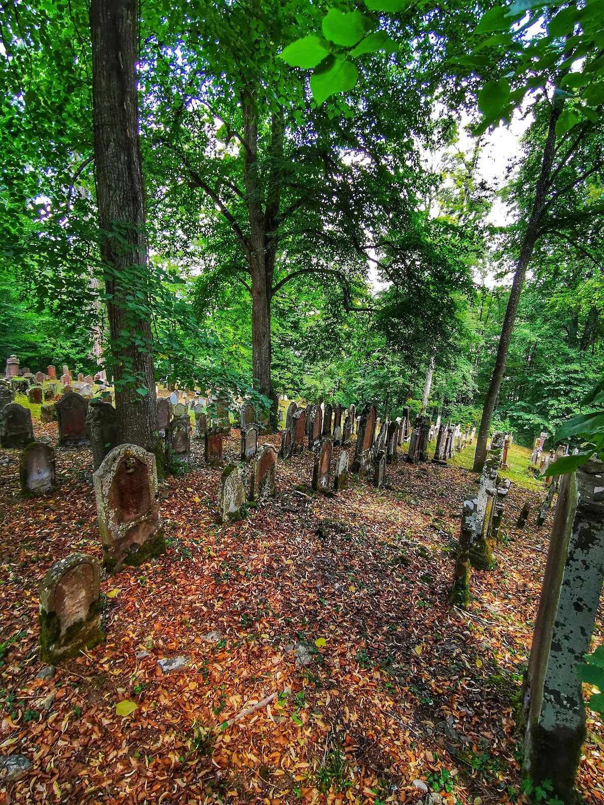 Бывшая синагога Рексинген