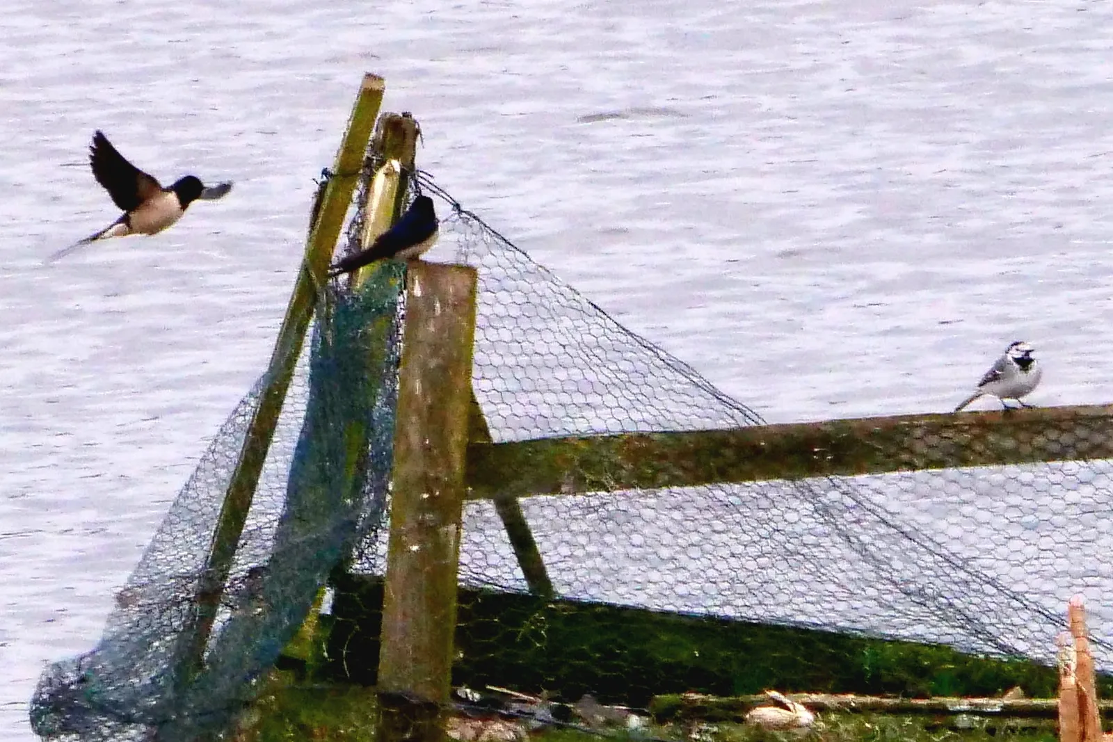 Фото церкви в Цехне, Германия