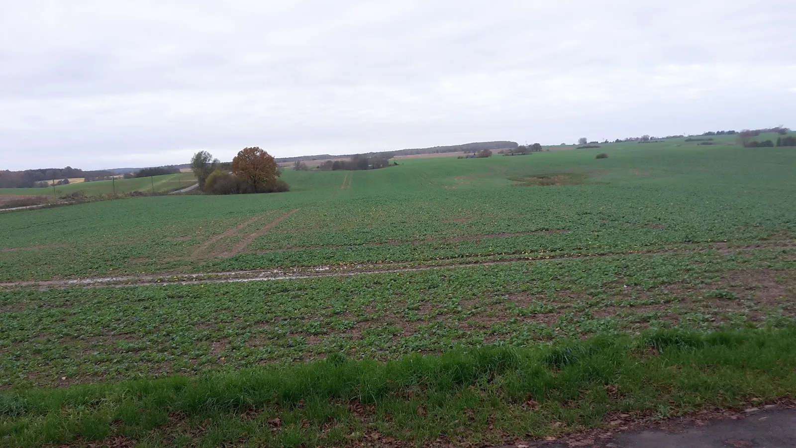 Фото церкви в Цехне, Германия