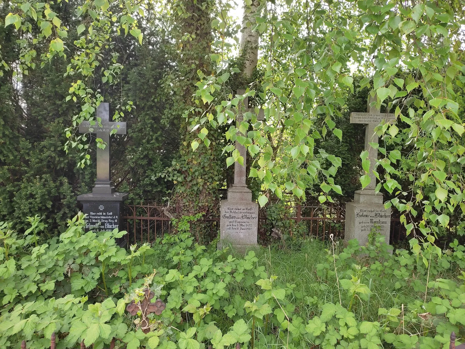 Фотография церкви Куппентин в Германии