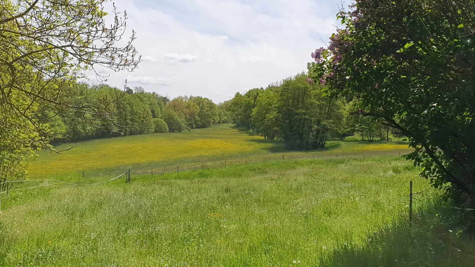 Фасад Церкви Оберрод в Альсфельде, Германия