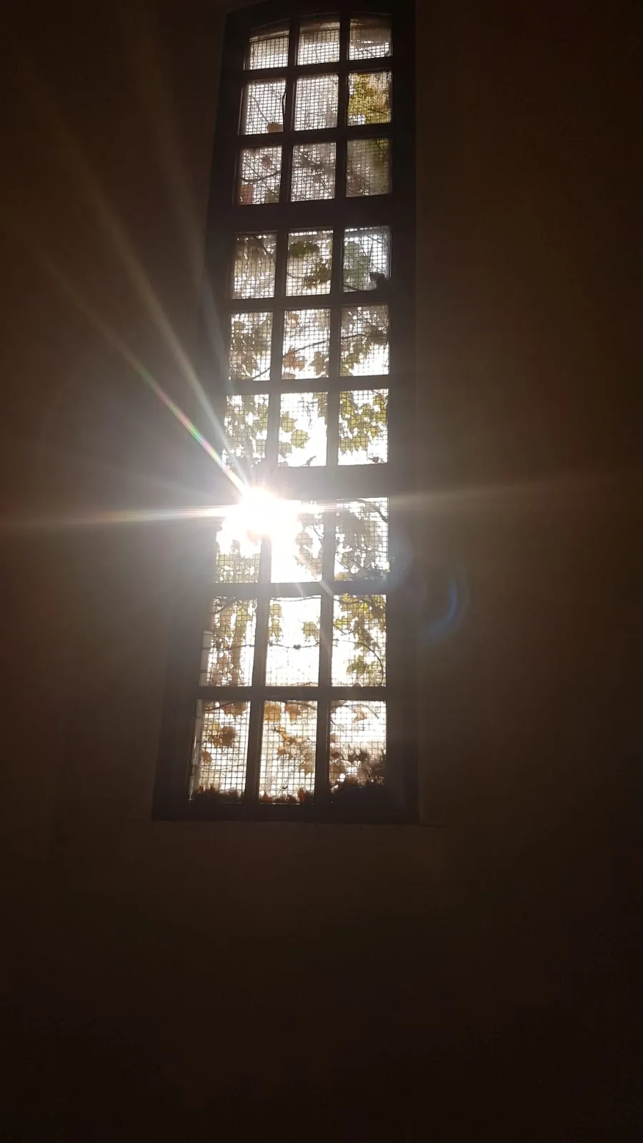 Здание церкви 