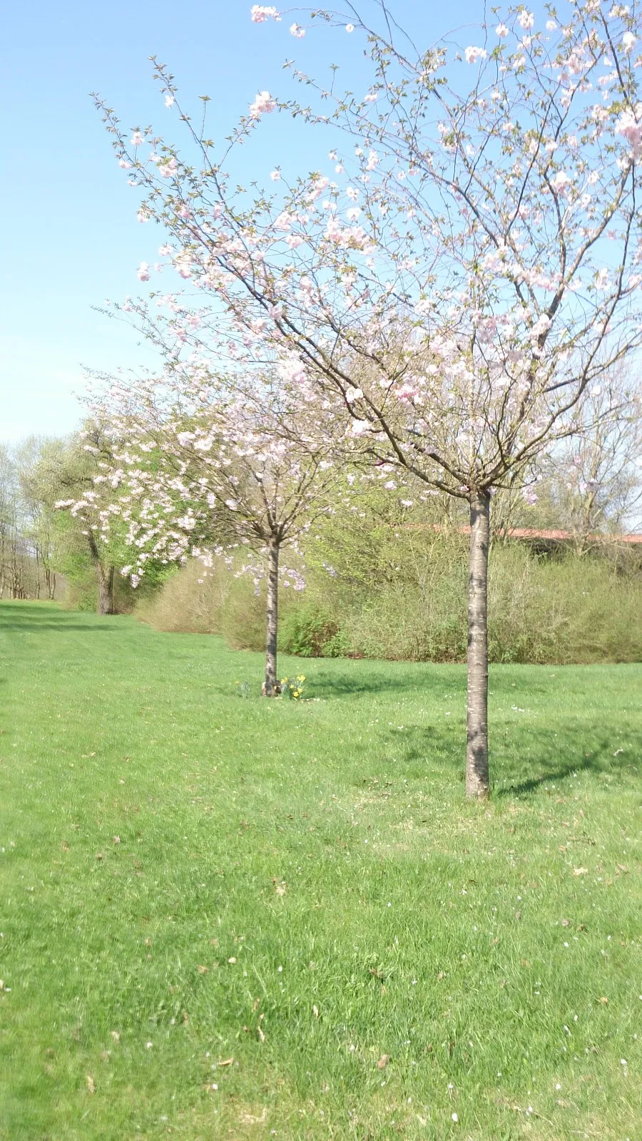 Церковь в Вамков, Германия