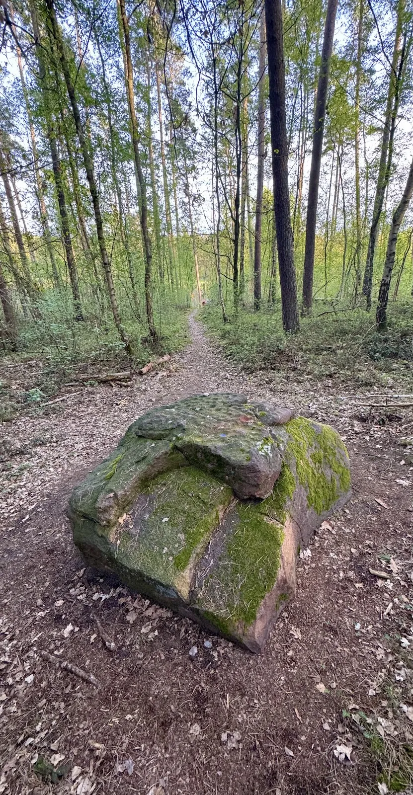 Чаша Циссов