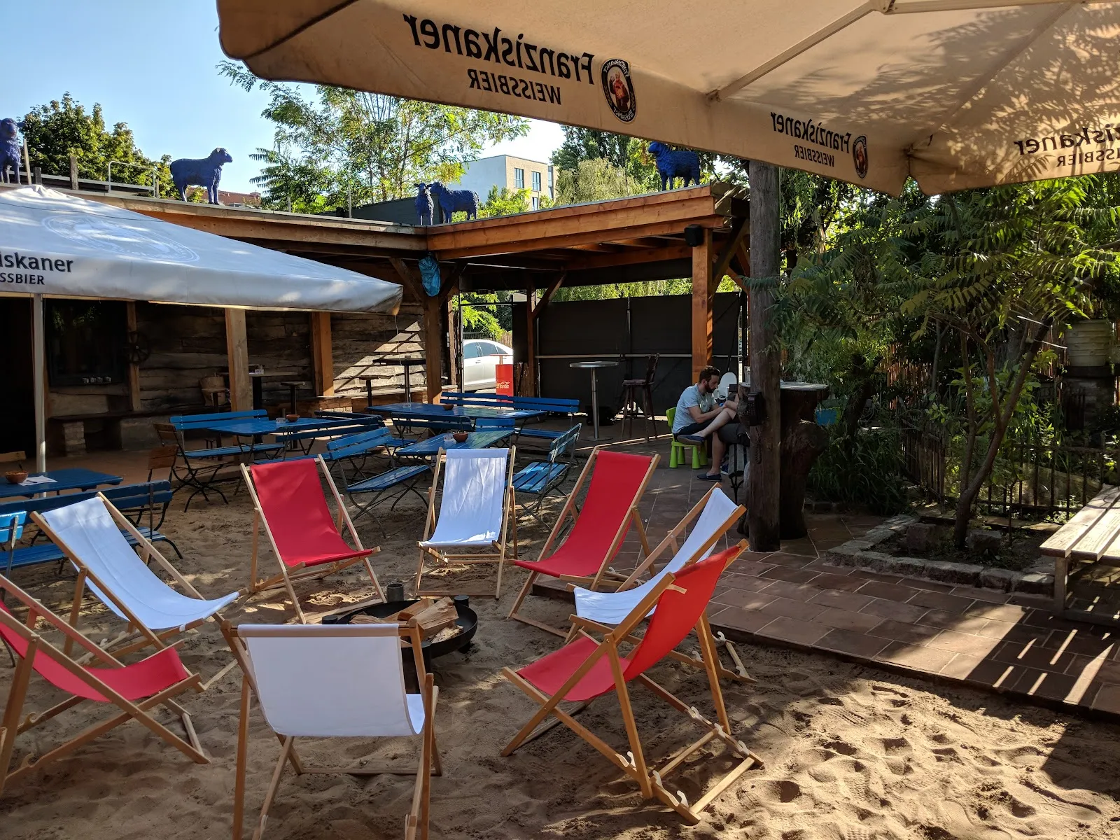 Черный стриж Берлин