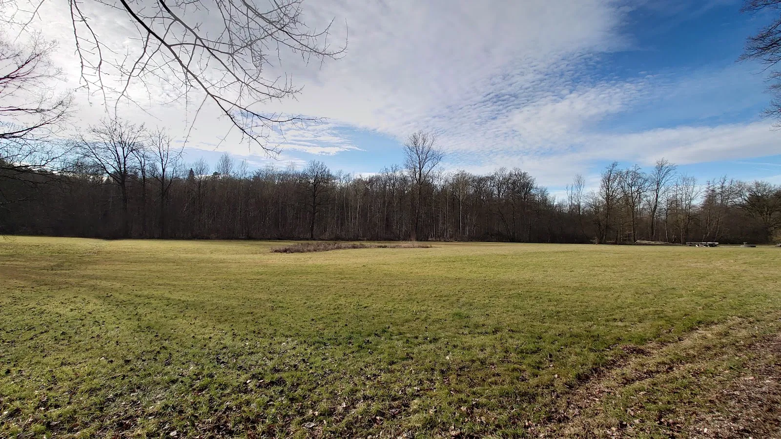 Цыганская империя