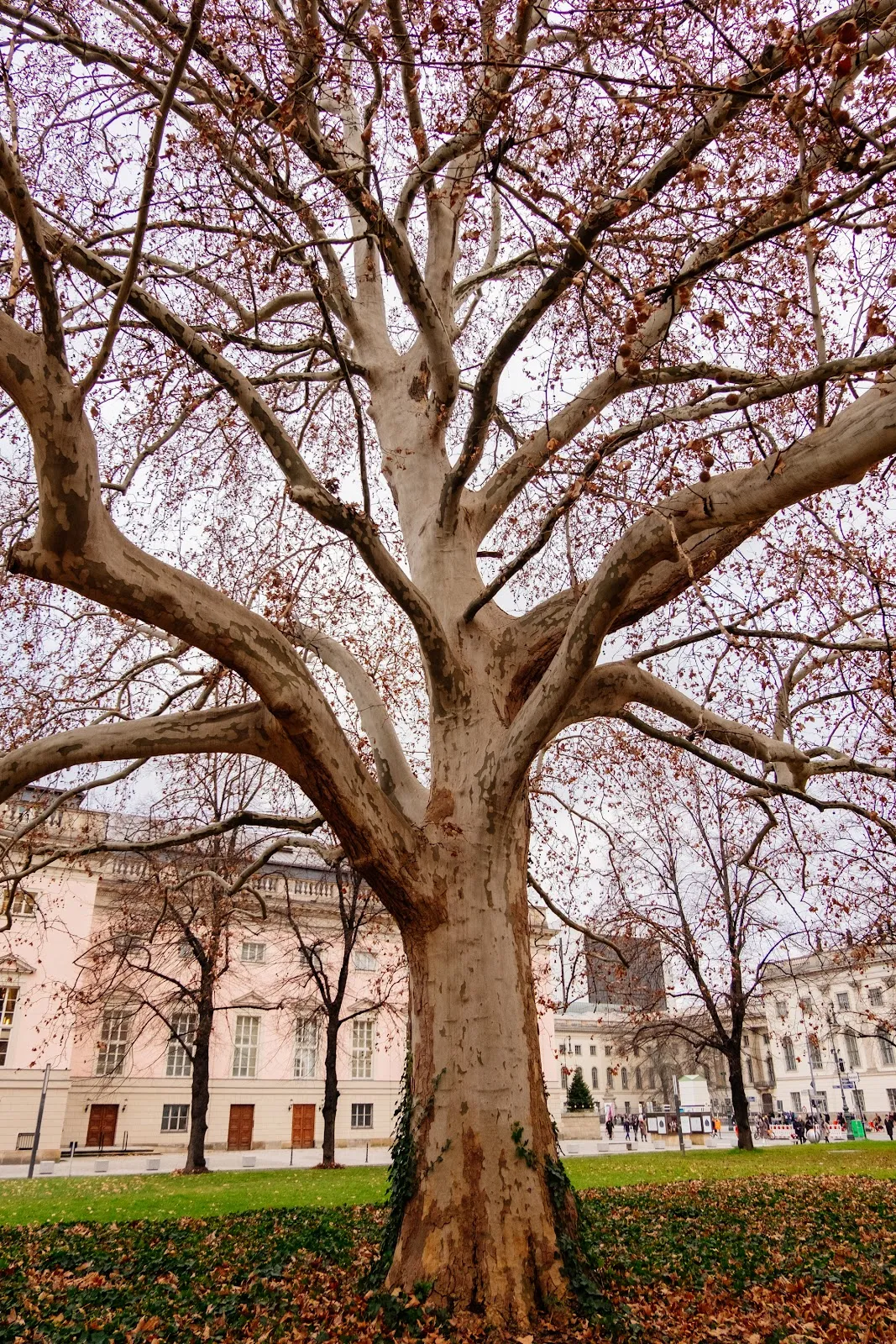 Памятник фельдмаршалу Графу фон Йорку на фоне неба в Берлине