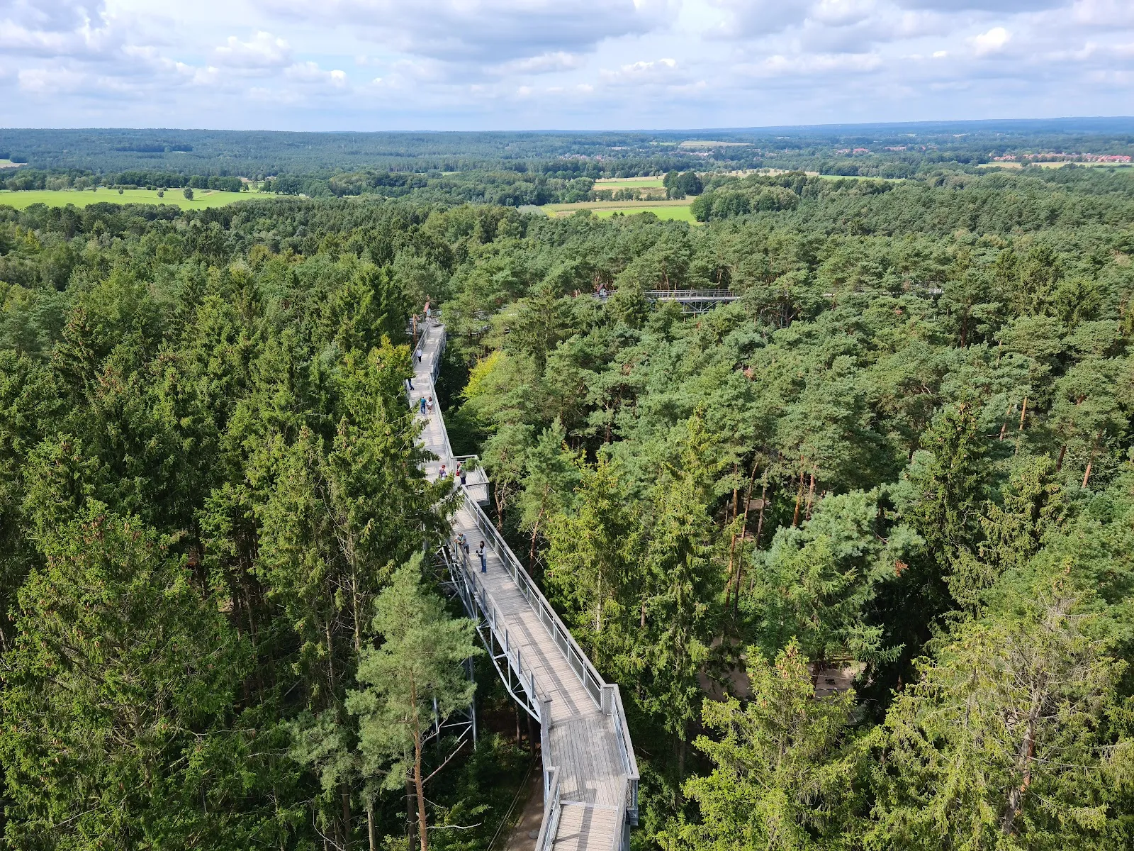 Территория парка дикой природы Люнебургер Хайде с животными