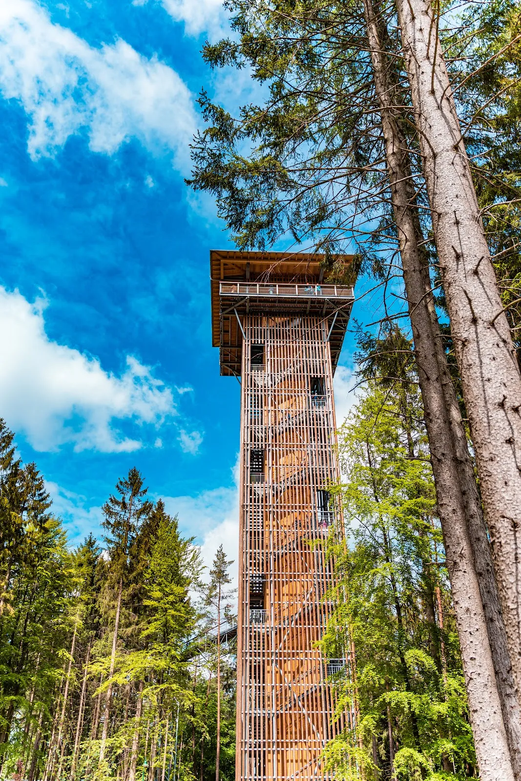 Территория парка дикой природы Люнебургер Хайде с животными