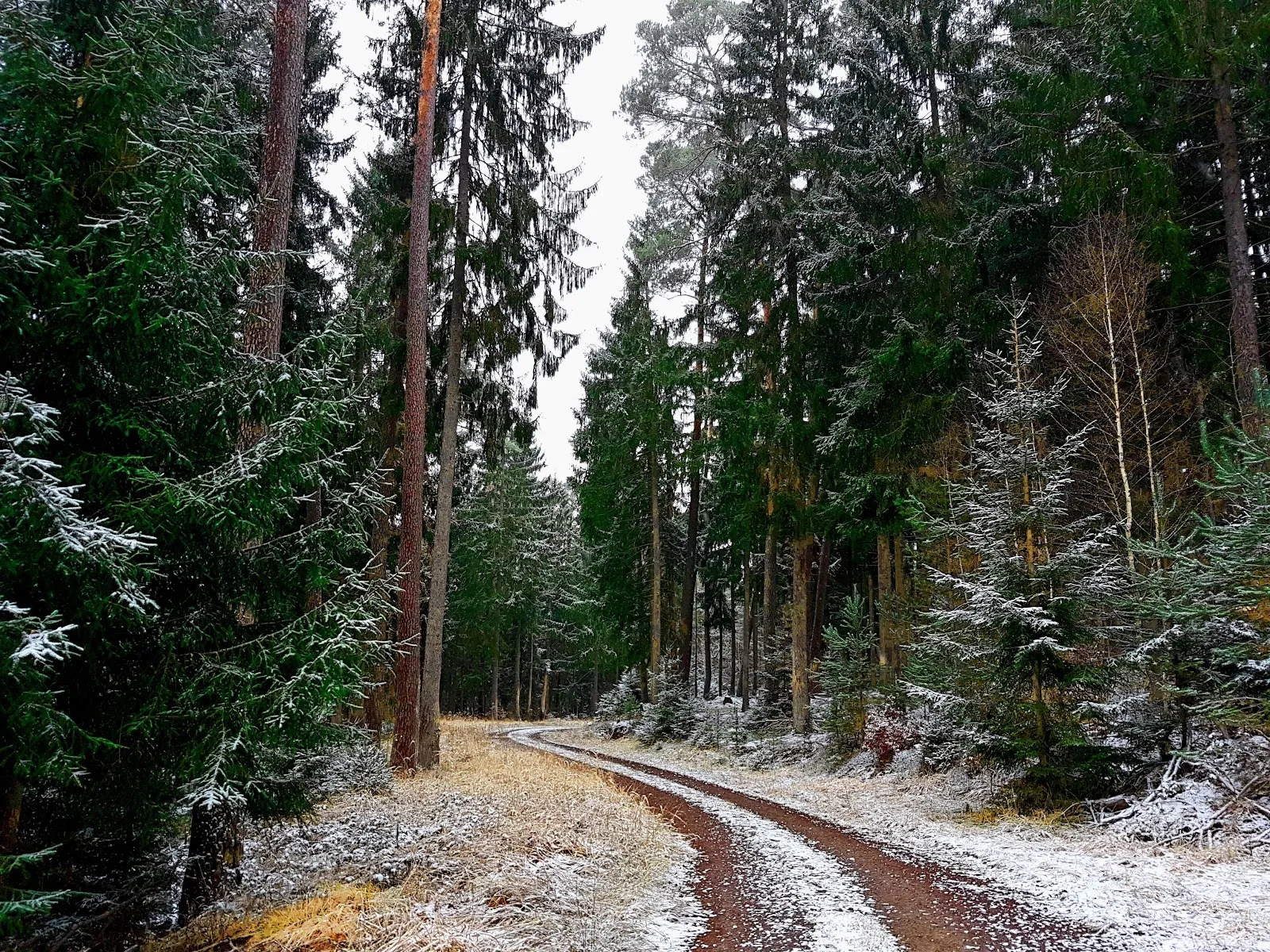 Природный ландшафт парка «Дикое сердце Швабии»