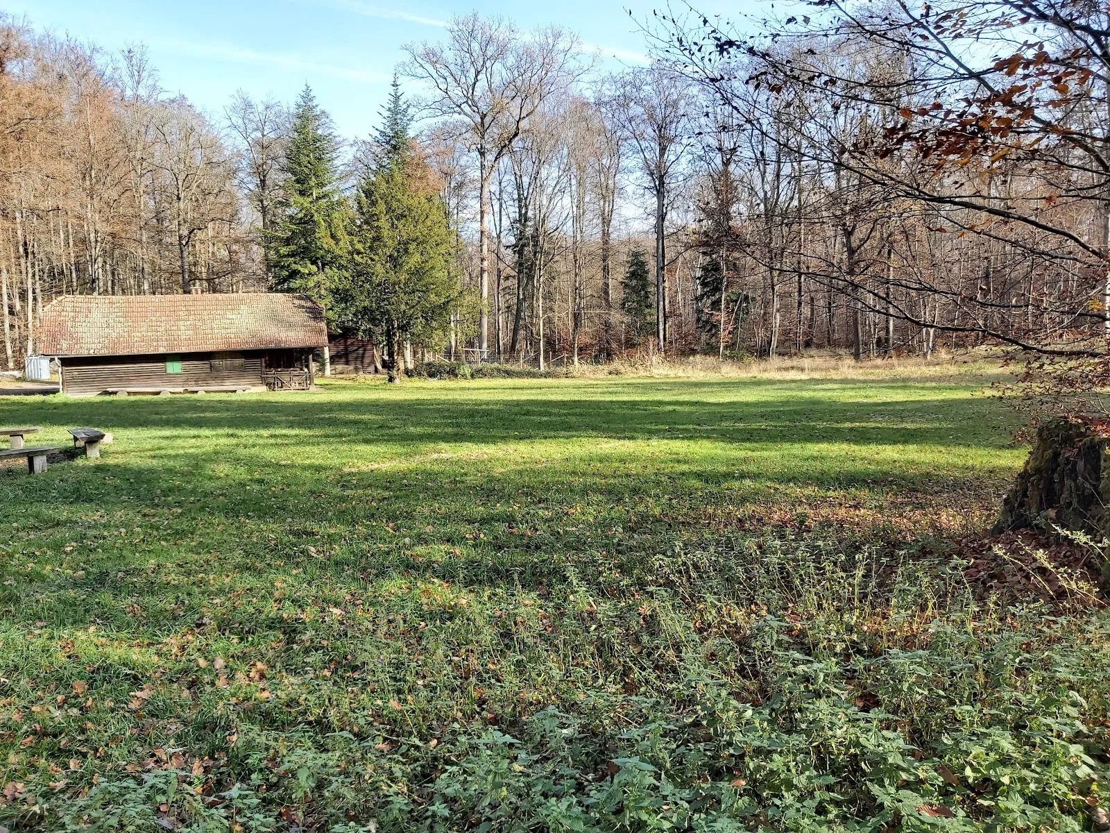 Природный ландшафт парка «Дикое сердце Швабии»