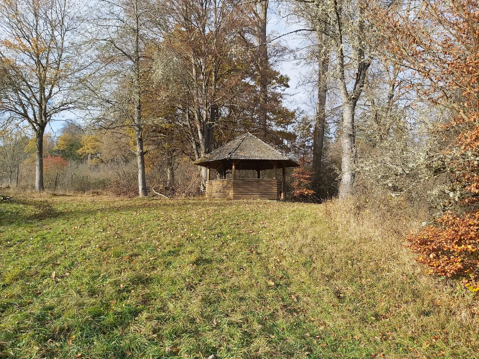 Природный ландшафт парка «Дикое сердце Швабии»