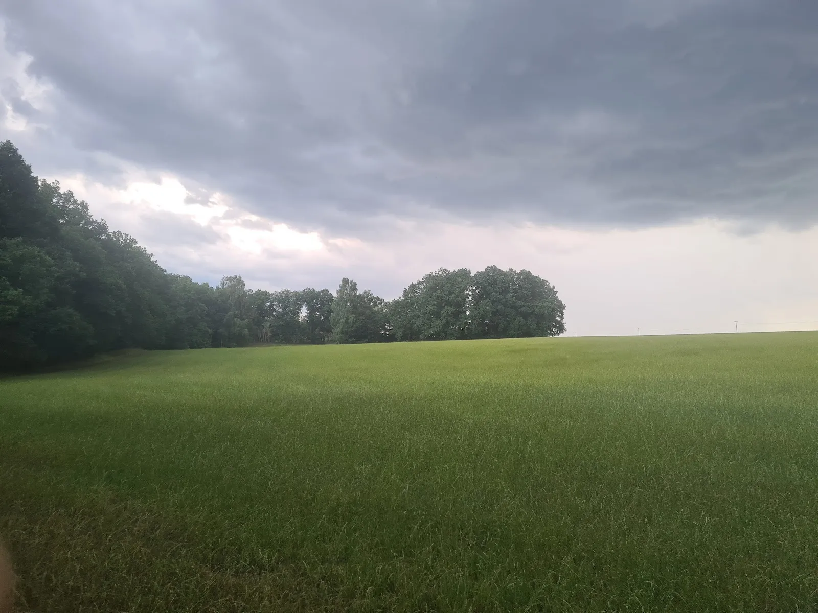 Долина Требель