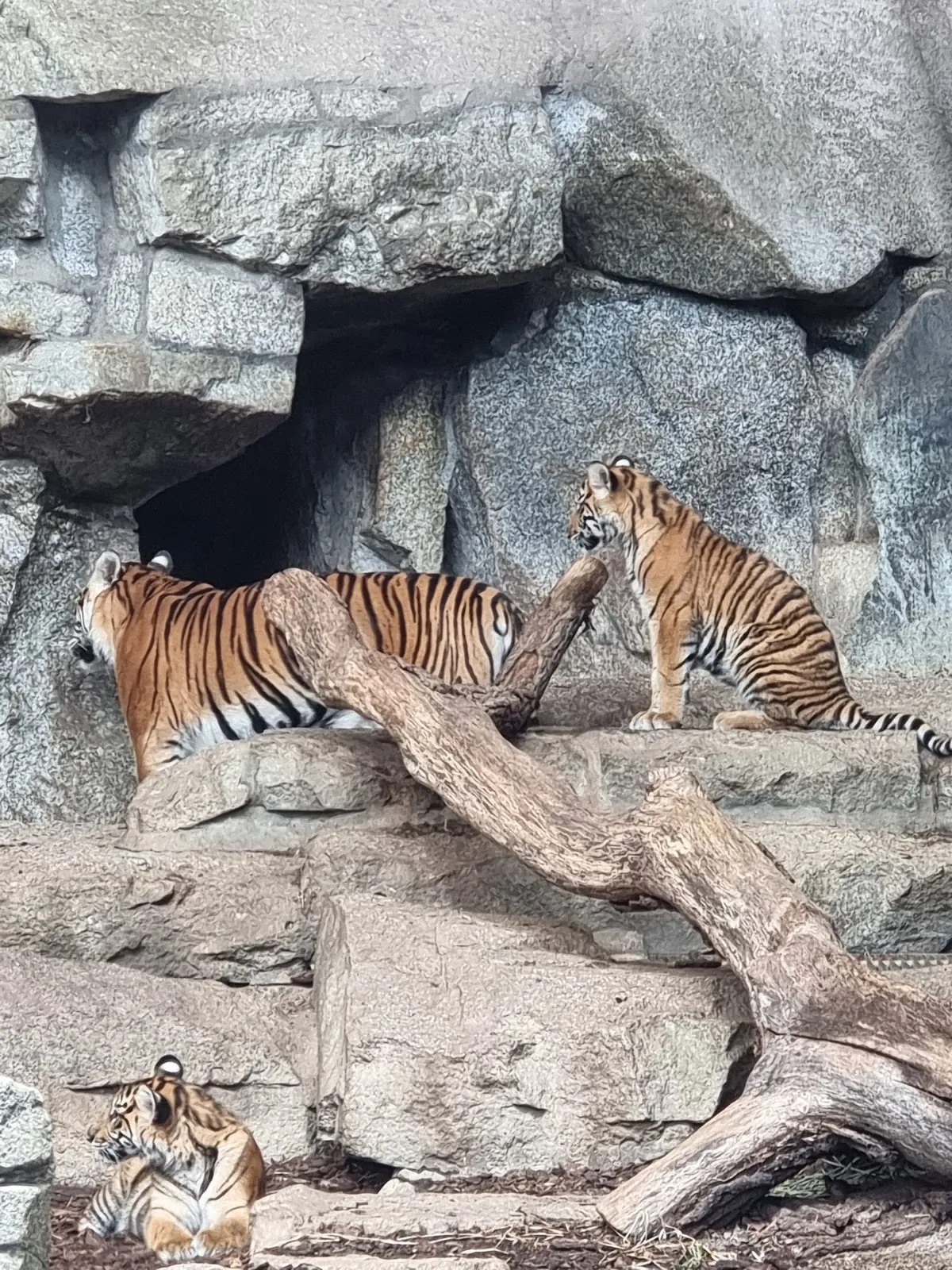 Фасад Дома Альфреда Брема с посетителями
