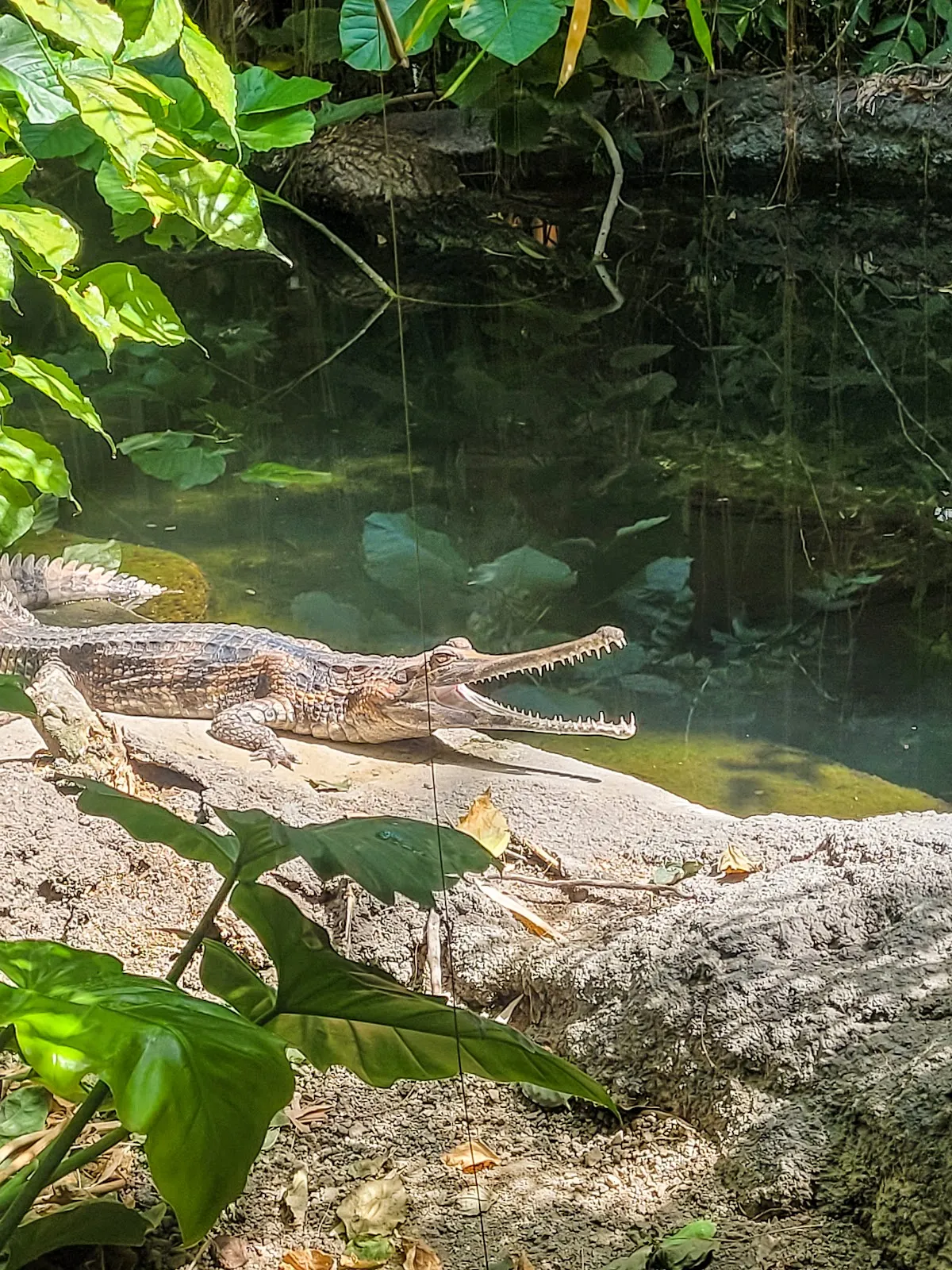 Фасад Дома Альфреда Брема с посетителями