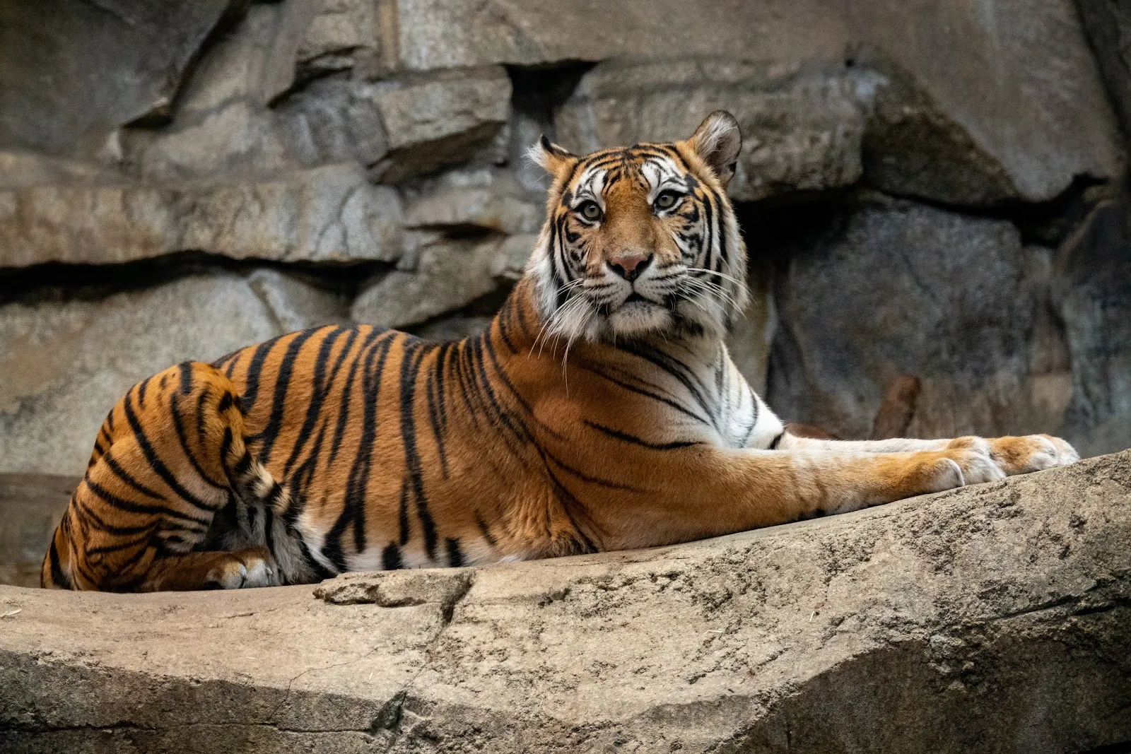 Фасад Дома Альфреда Брема с посетителями