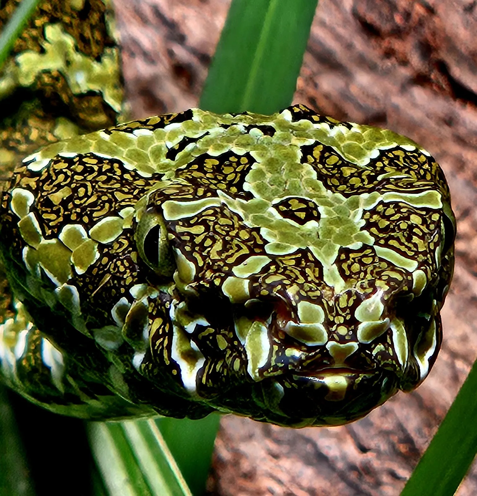 Фасад Дома Альфреда Брема с посетителями