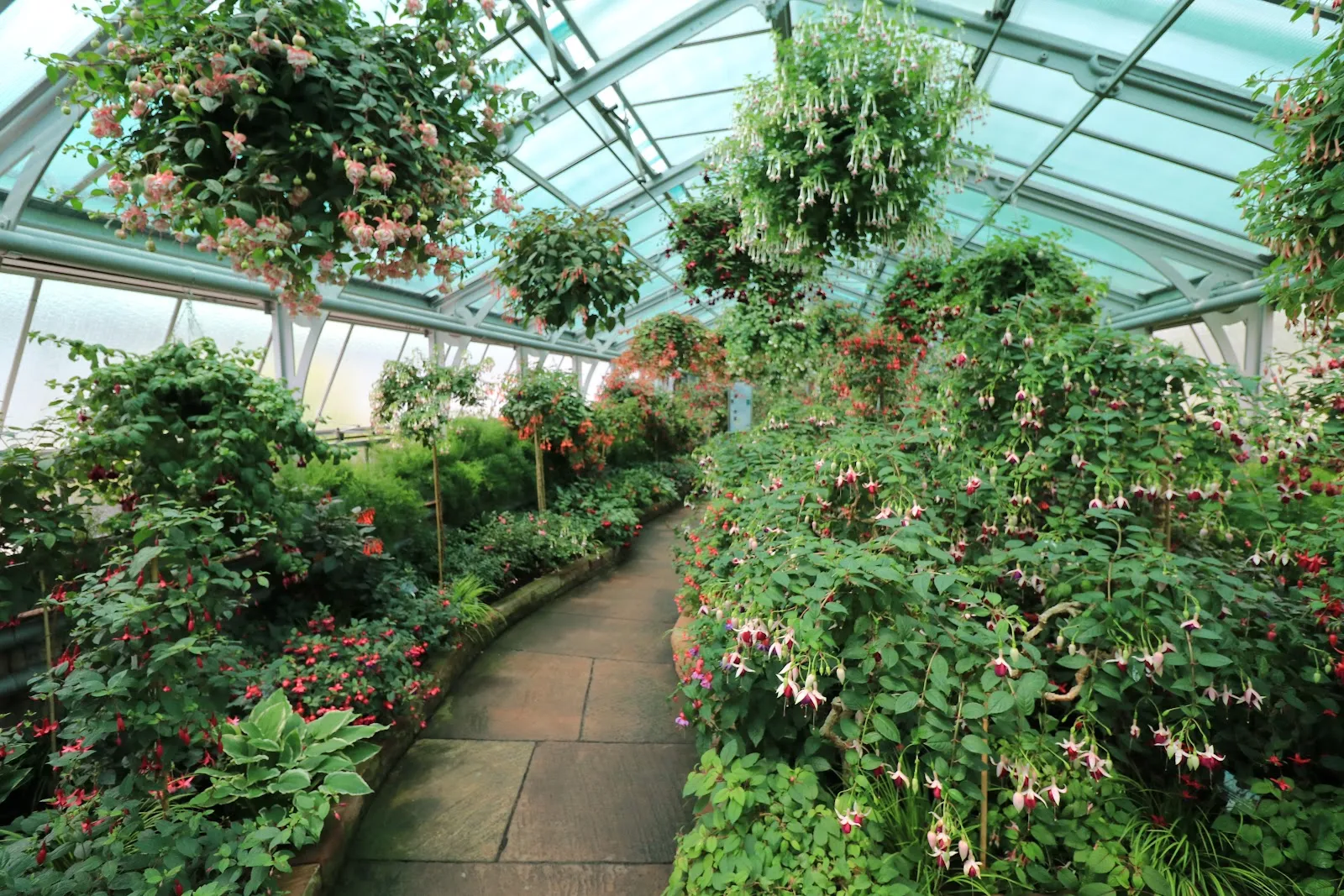 Дом орхидей в Штутгарте – цветущие орхидеи