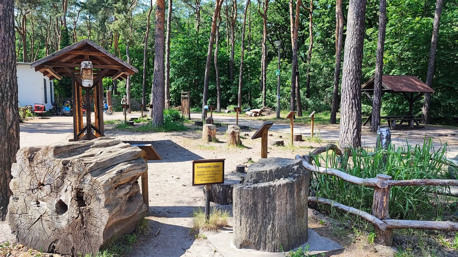 Экспозиция животного мира в Доме природы и окружающей среды, Берлин