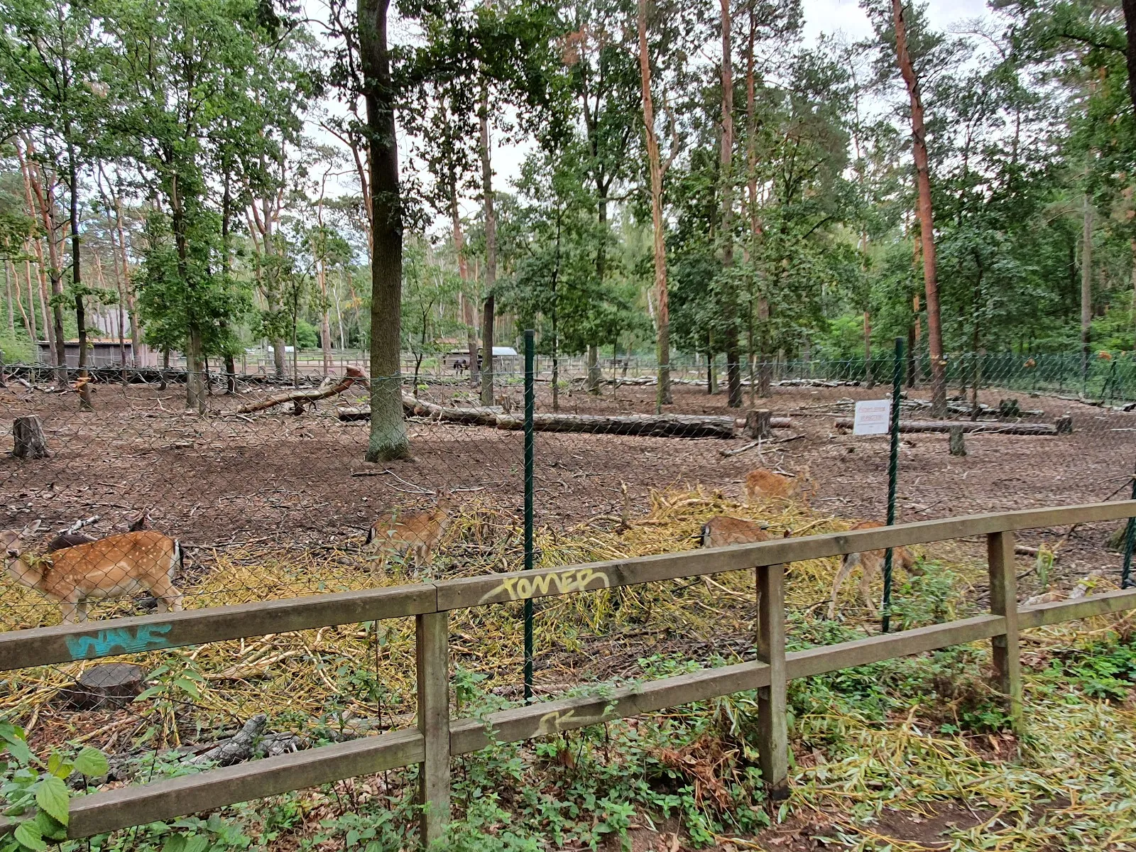 Экспозиция животного мира в Доме природы и окружающей среды, Берлин