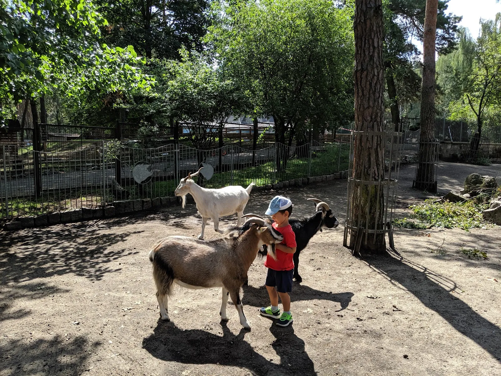 Экспозиция животного мира в Доме природы и окружающей среды, Берлин