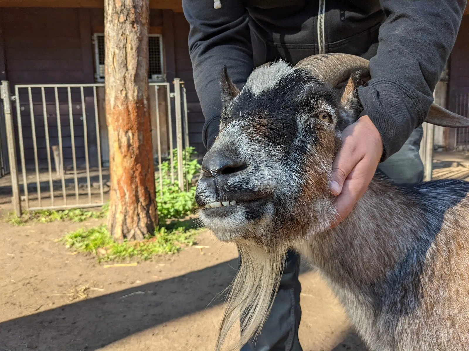 Экспозиция животного мира в Доме природы и окружающей среды, Берлин