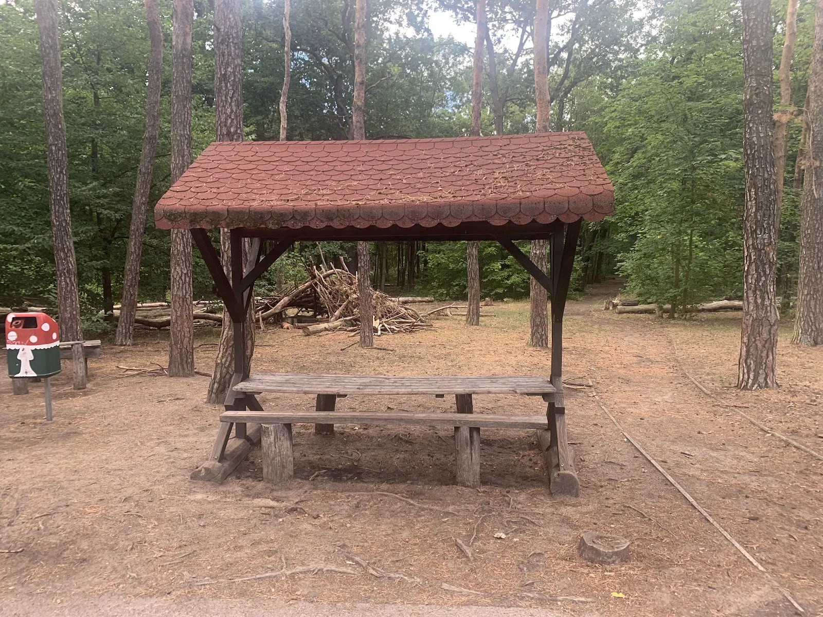 Экспозиция животного мира в Доме природы и окружающей среды, Берлин