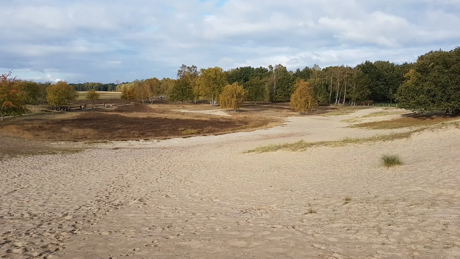 Дом в дюнах Бобергер