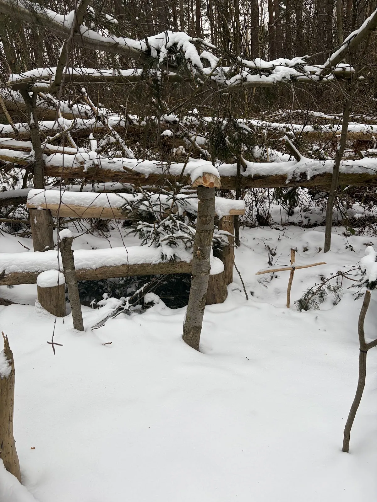 Доннербалкен