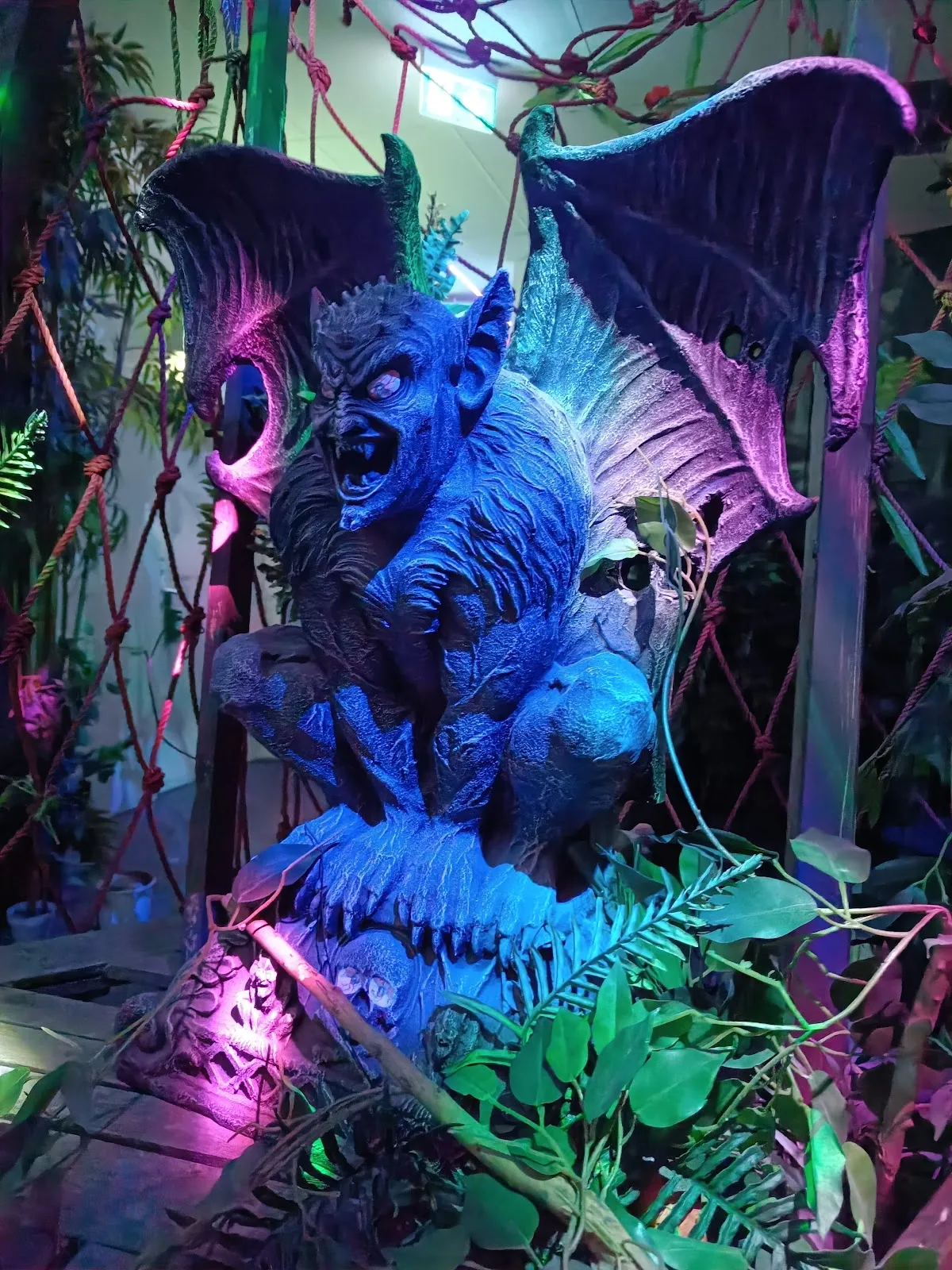 Драконий лабиринт