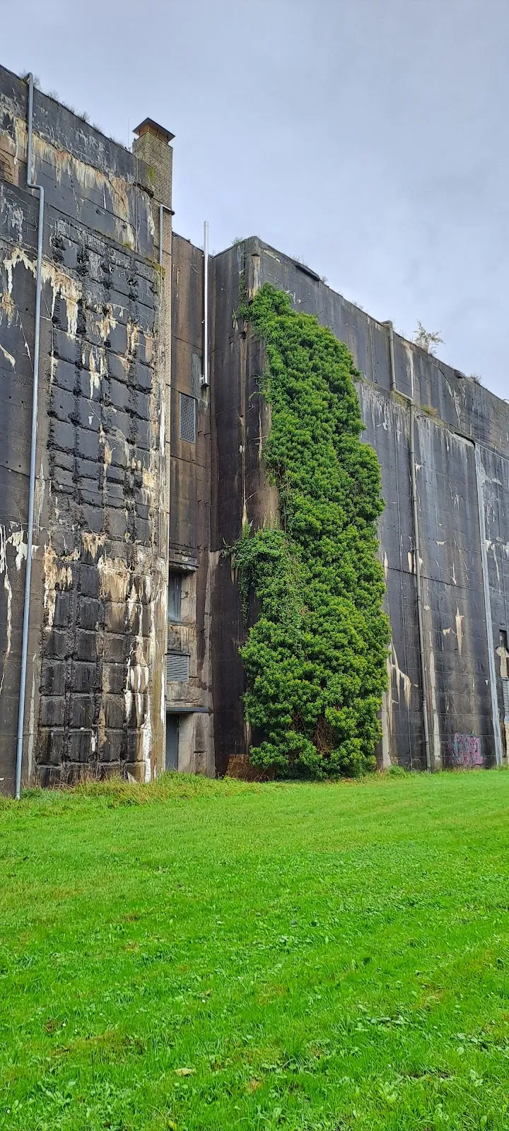 Дренажная система Рекумер