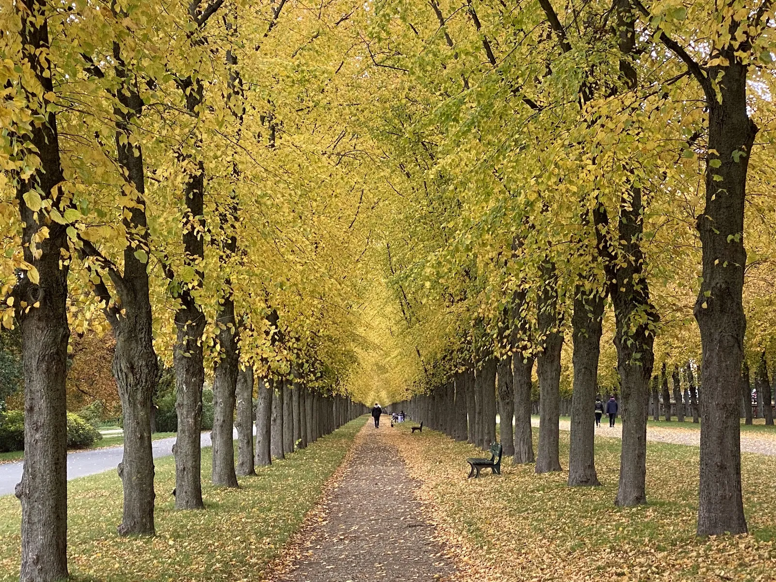 Джорджгартен