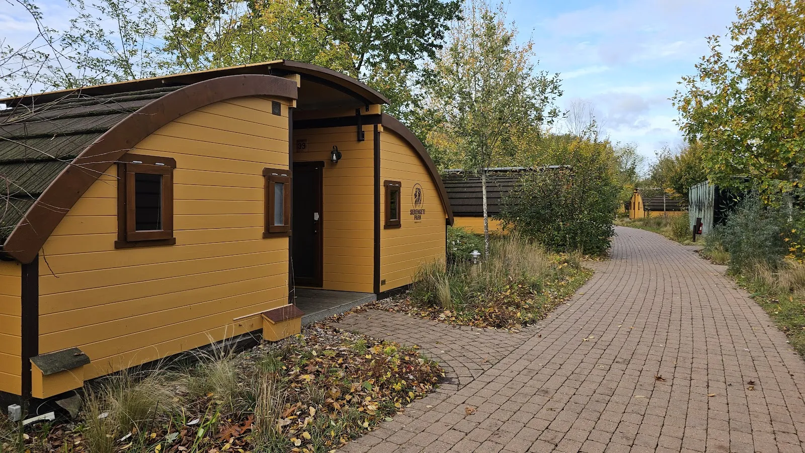 Джунгли Лоджис