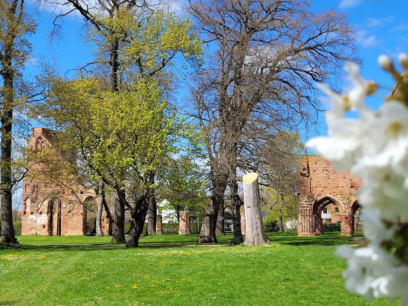 Здание Эльденского аббатства в Грайфсвальде