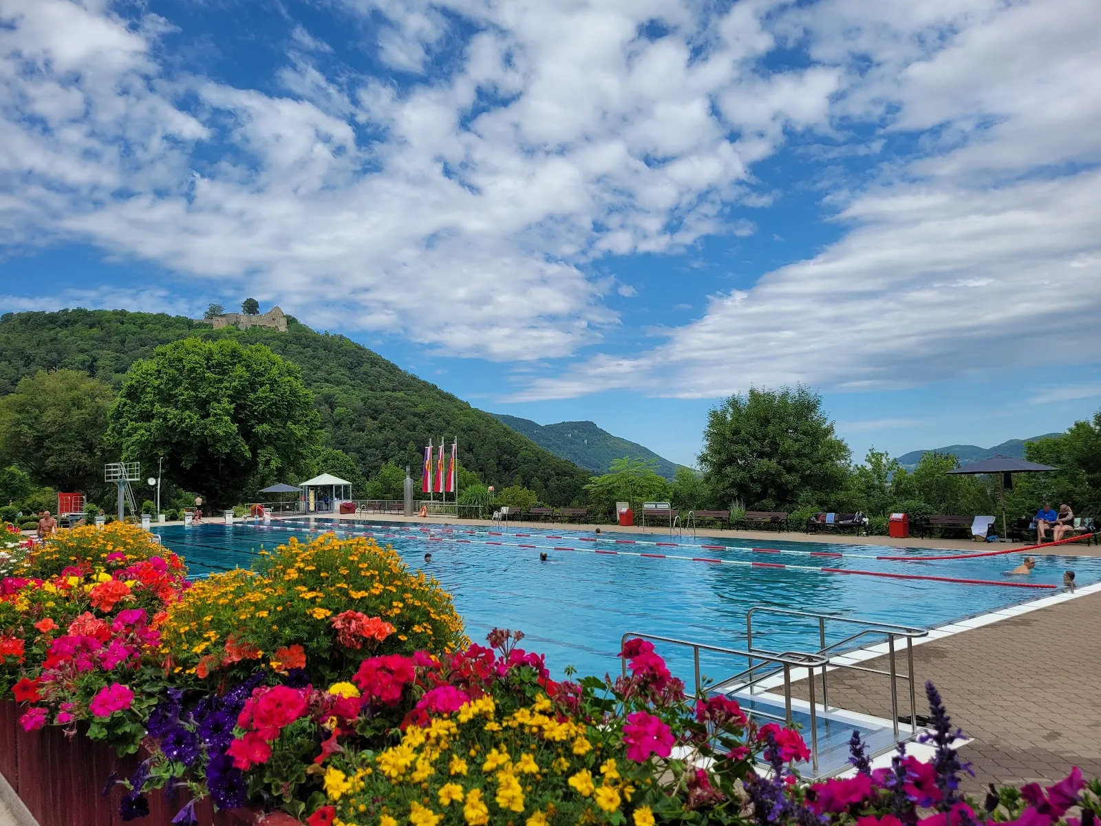 Электростанция Рейнфелль