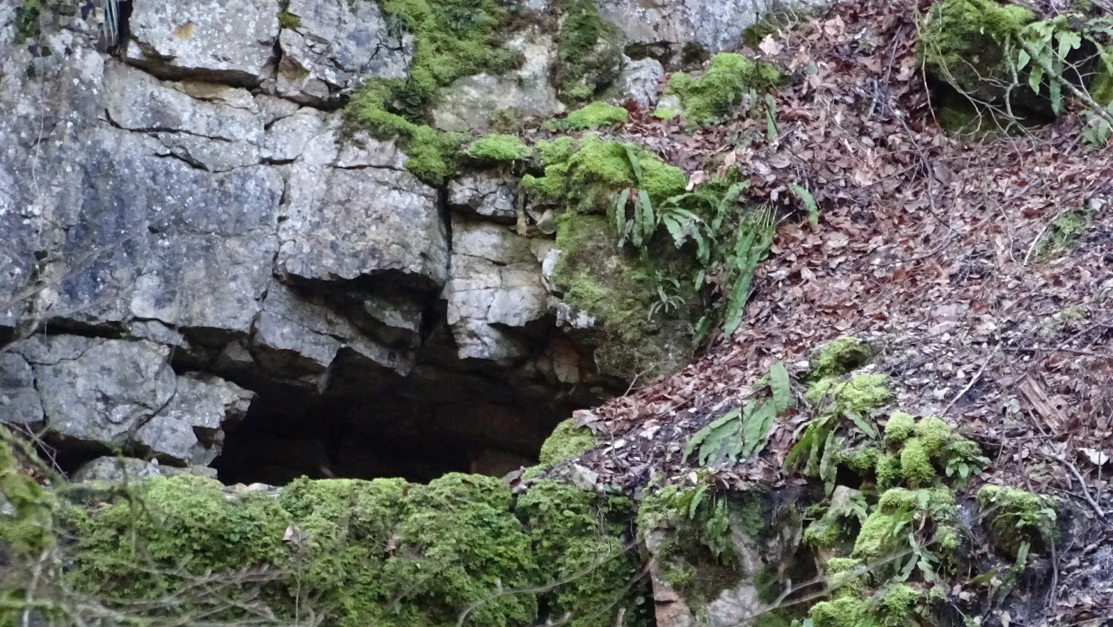 Эльзахбрёллер