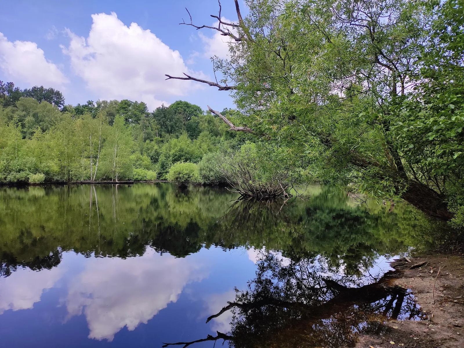 Эппендорфер Мор