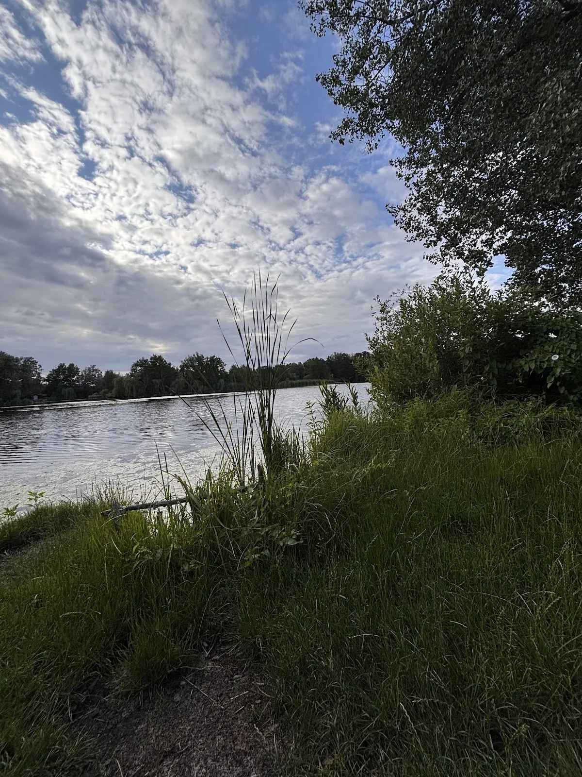 Эрделёхер-Шмерговер