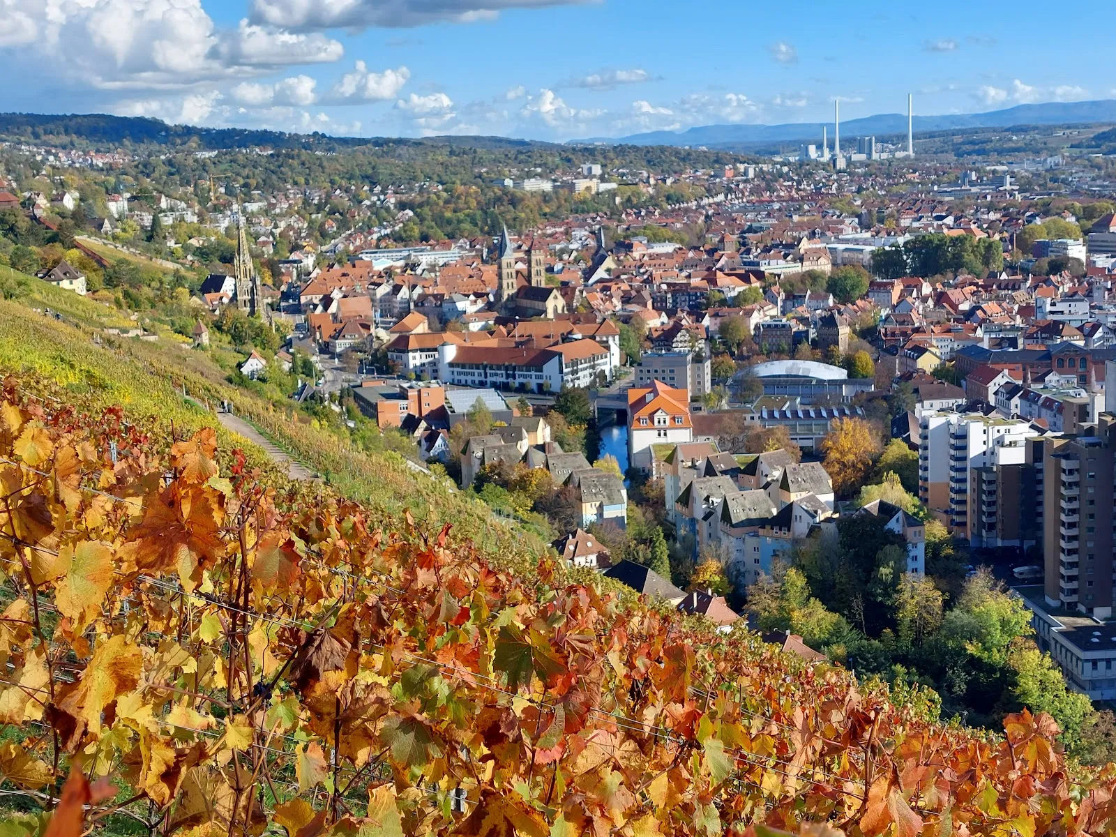 Эсслинген: Городская панорама