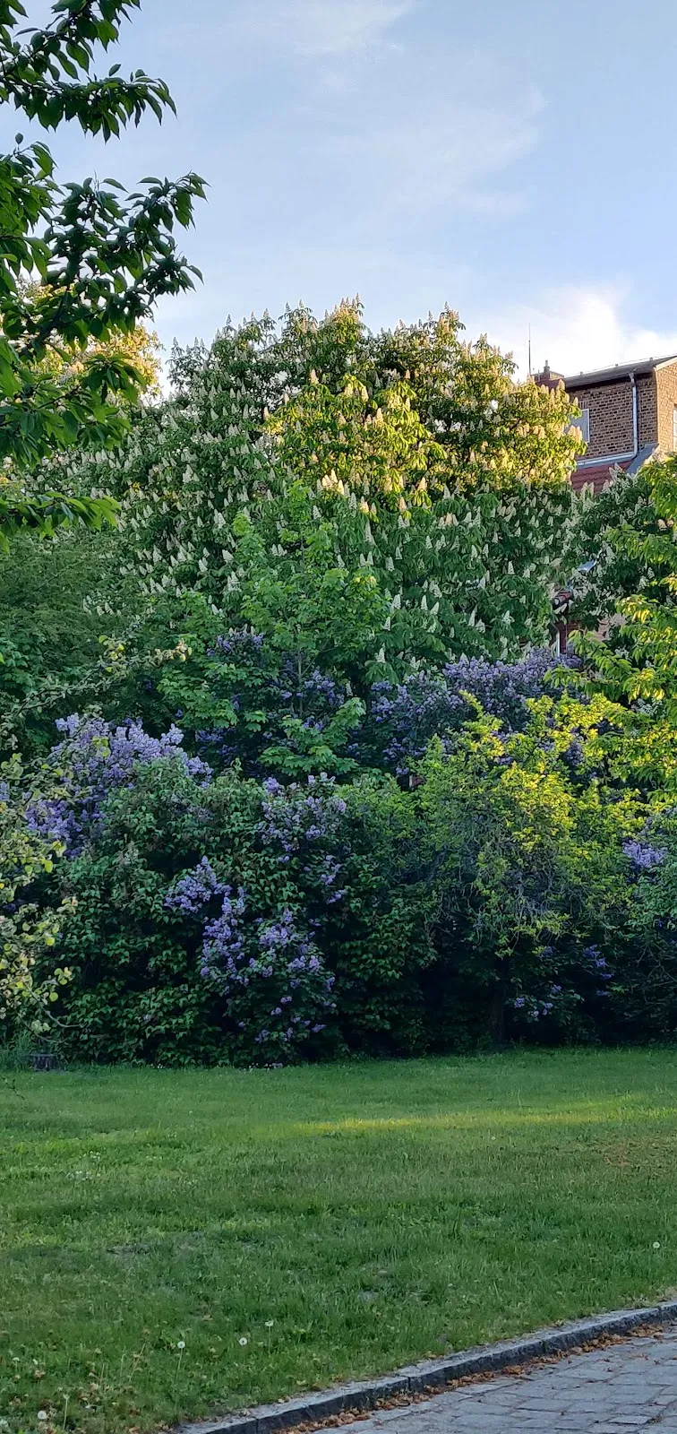 Здание Евангелического Диаконического Учреждения в Тельтове