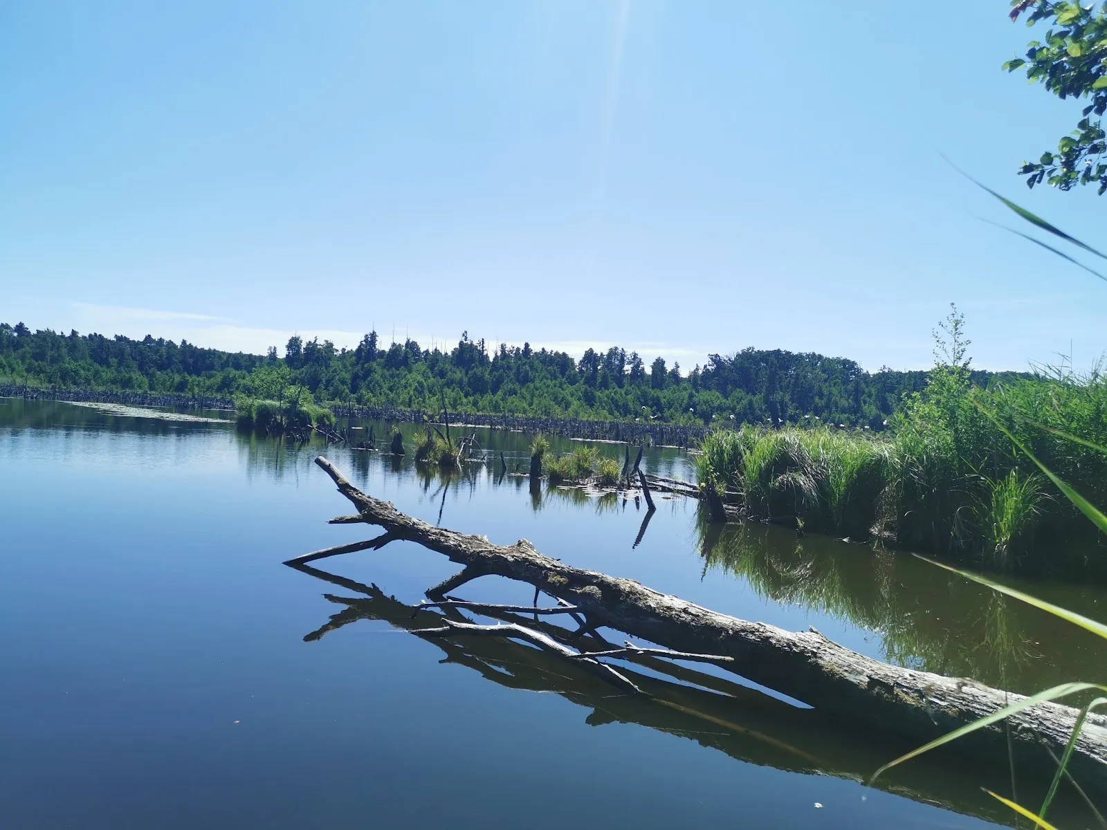 Вид на озеро Фаулер-Зе в Германии