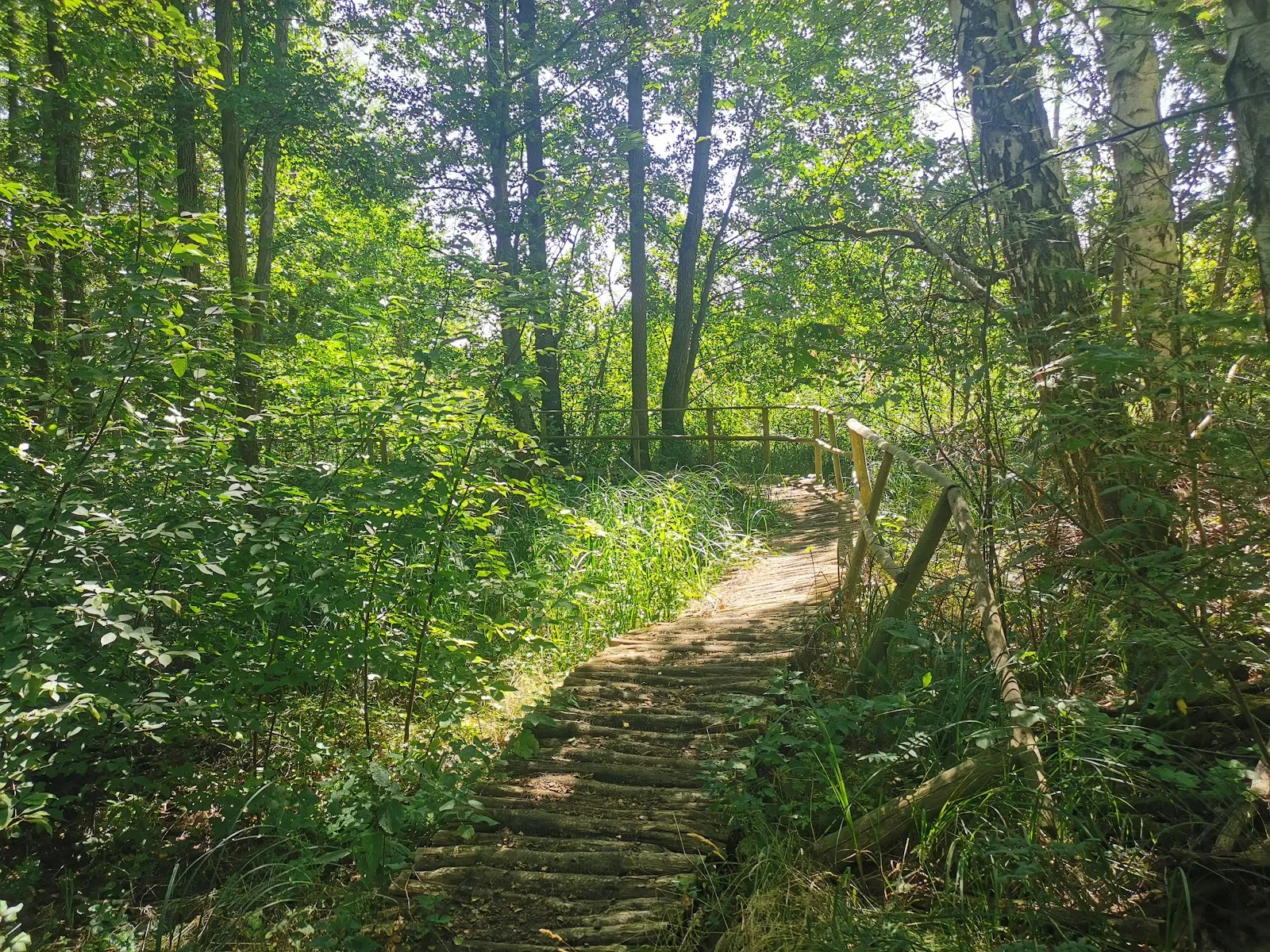 Вид на озеро Фаулер-Зе в Германии
